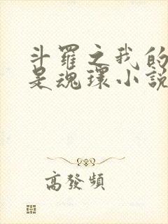 斗罗之我的武魂是魂环小说txt