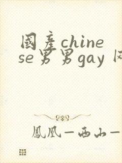 国产chinese男男gay 网站