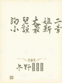 狗儿大姐二姐娘小说最新章节