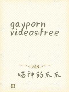 gaypornvideosfree