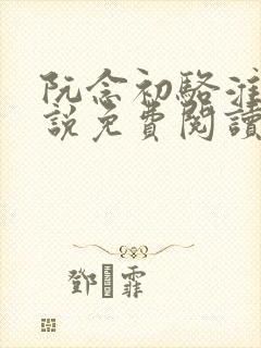 阮念初骆淮景小说免费阅读封面