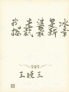 我老婆是冰山女总裁最新章节小说