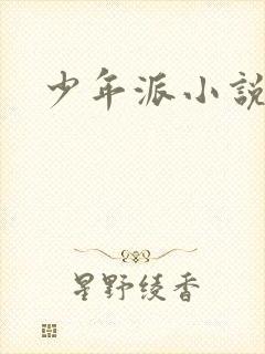 少年派小说