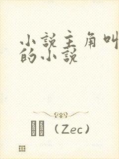 小说主角叫叶天的小说