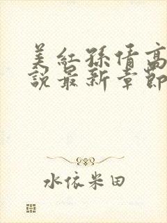 美红孙倩高义小说最新章节更新封面