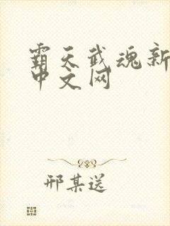 霸天武魂新八一中文网
