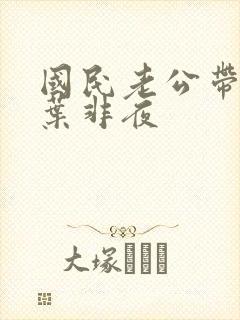 国民老公带回家叶非夜