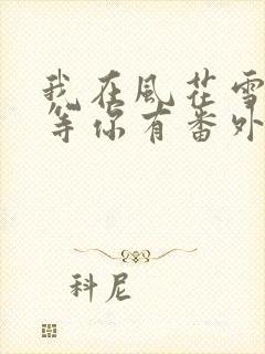 我在风花雪月里等你有番外吗