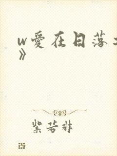 w爱在日落之前》