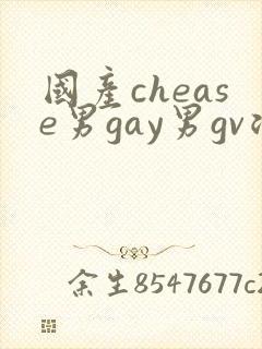 国产chease男gay男gv浪小辉