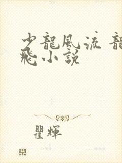 少龙风流 龙剑飞小说