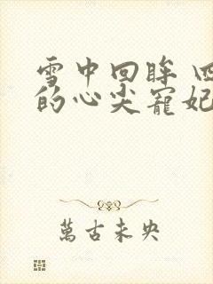 雪中回眸 四爷的心尖宠妃