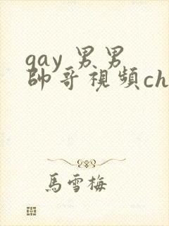 gay 男男 帅哥视频chinese