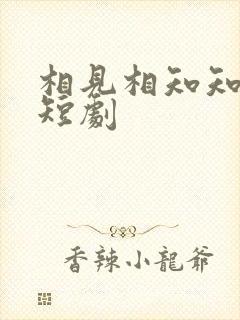 相见相知知何日短剧