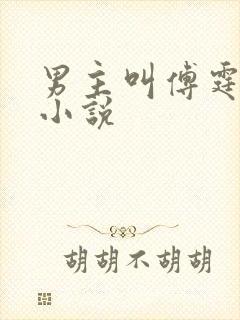 男主叫傅霆深的小说