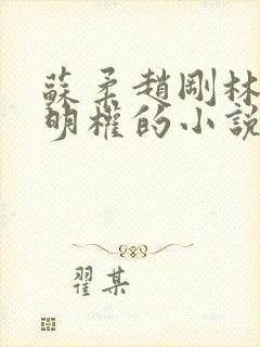 苏柔赵刚林风周明权的小说