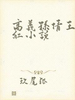 高义孙倩王申美红小说