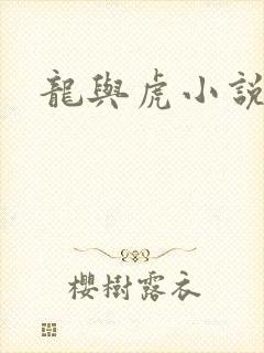 龙与虎小说