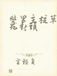 双男主校草校霸死对头