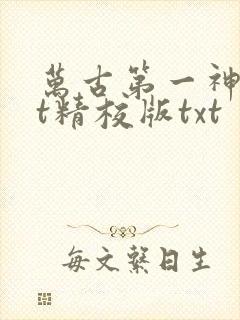 万古第一神txt精校版txt