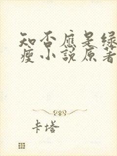 知否应是绿肥红瘦小说原著