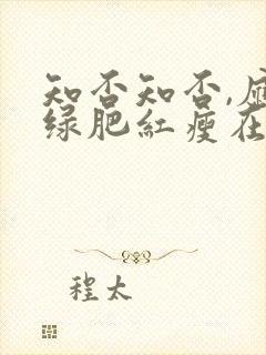 知否知否,应是绿肥红瘦在线