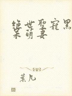 绝世圣宠黑帝的呆萌妻封面