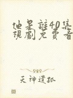 他是谁40集电视剧免费看全集