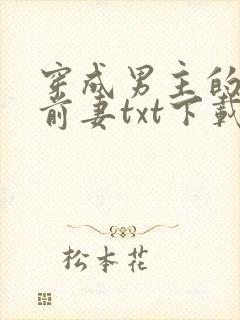 穿成男主的炮灰前妻txt下载封面