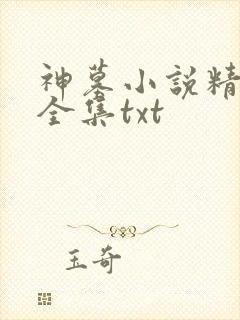 神墓小说精校版全集txt