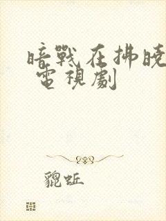 暗战在拂晓之前 电视剧