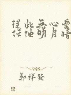 从此无心爱良夜任他明月暗示封面
