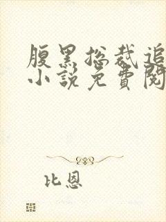 腹黑总裁追妻忙小说免费阅读