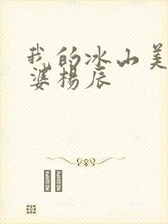 我的冰山美女老婆杨辰封面