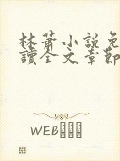 林萧小说免费阅读全文章节