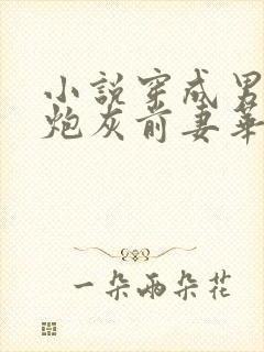 小说穿成男主的炮灰前妻华阙阙