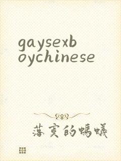 gaysexboychinese封面