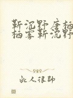 靳沉野唐栖雾唐栖雾靳沉野