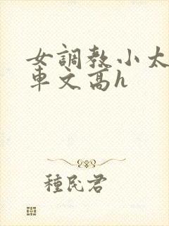 女调教小太正肉车文高h