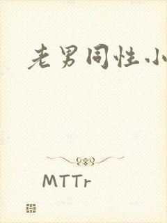 老男同性小说封面
