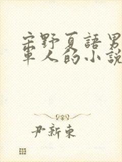 宋野夏语男主是军人的小说