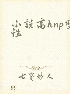 小说高hnp双性