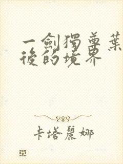 一剑独尊叶玄最后的境界