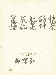 盆底肌的快肌和慢肌是什么封面