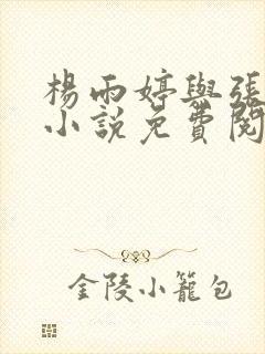 杨雨婷与张书记小说免费阅读