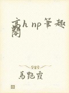 高h np笔趣阁封面