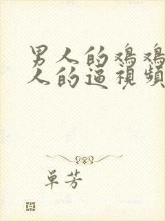 男人的鸡鸡插女人的逼视频封面