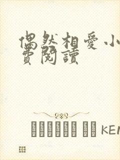 偶然相爱小说免费阅读封面