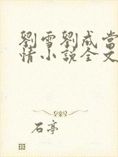 刘雪刘成当代爱情小说全文免费无弹窗阅读