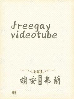 freegayvideotube封面
